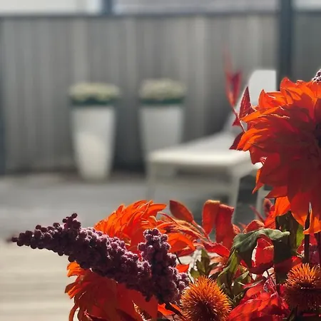 Square50 Boutique Apartment *