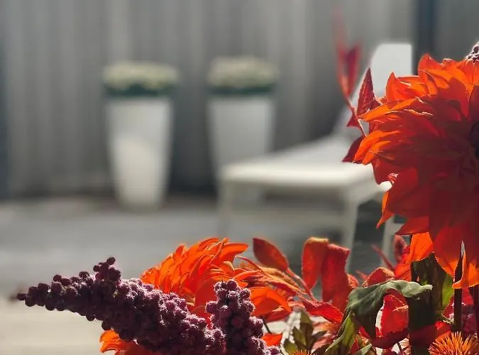 Square50 Boutique Appartement *