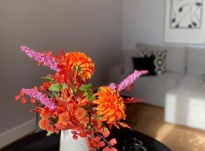 Square50 Boutique Oostende